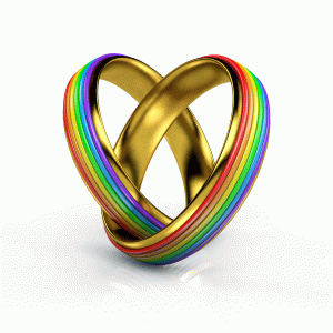 Same Sex Wedding